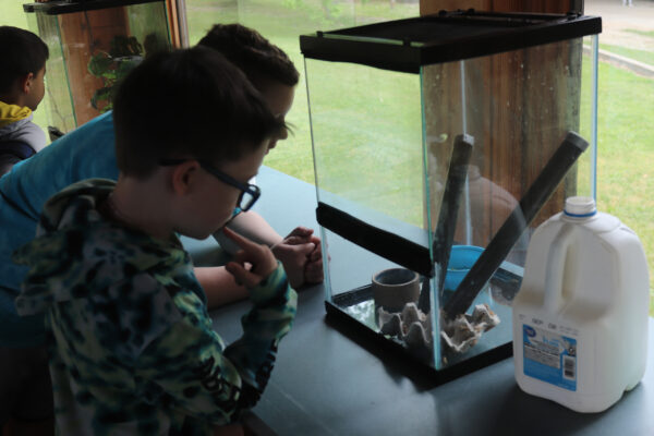 Two young kids looking into a small terrarium.
